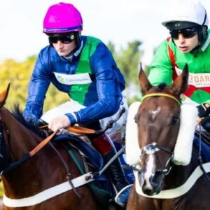 Autumn Friday Afternoon Racing - 6th November- Fontwell Racecourse