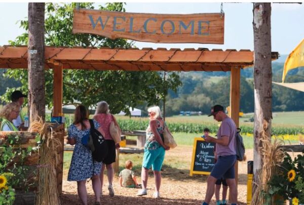 Cowdray's Maize Maze - Image 4
