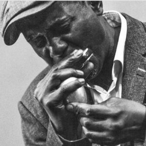 Midhurst Jazz, Blues & Food Festival - The Errol Linton Band