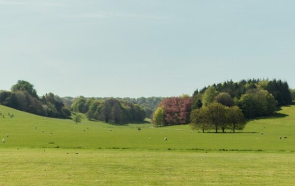 West Dean Gardens - Image 9