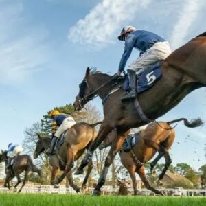 Southern National Raceday - 15th November - Fontwell Racecourse