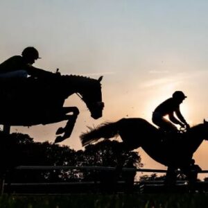 Figure of 8 Raceday 2026 - 14th May - Fontwell Racecourse