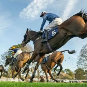 Chase series final Raceday - 27th March - Fontwell Racecourse