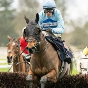Jumps Season Finale - 10th June - Fontwell Racecourse