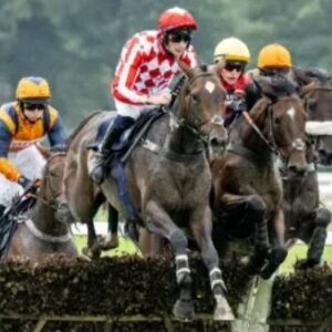 Autumn Thursday Afternoon Racing - 22nd September - Fontwell Racecourse