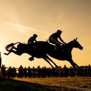Wednesday Evening Jump Racing - 6th May - Fontwell Racecourse