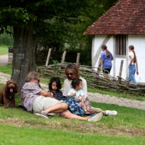 Weald & Downland Living Museum - Adult ticket