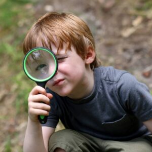 Weald & Downland Living Museum - Child ticket