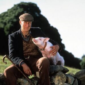 Chichester Film Festival - Babe (PG) - Adult